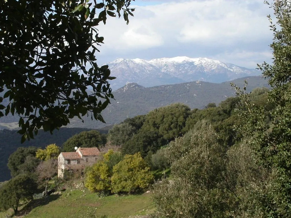 Domaine De Croccano