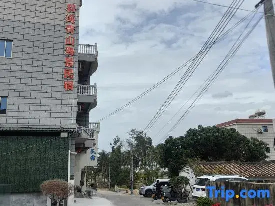Lingshui Bihai Qingshan Hostel