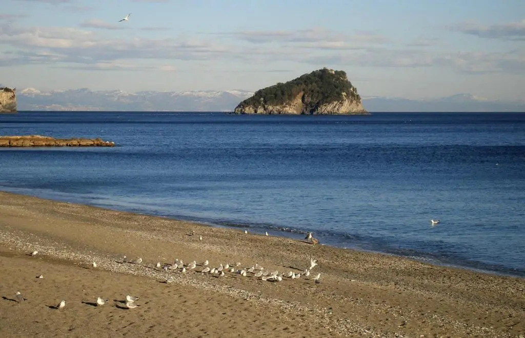 Golfo dell'Isola Appartamento
