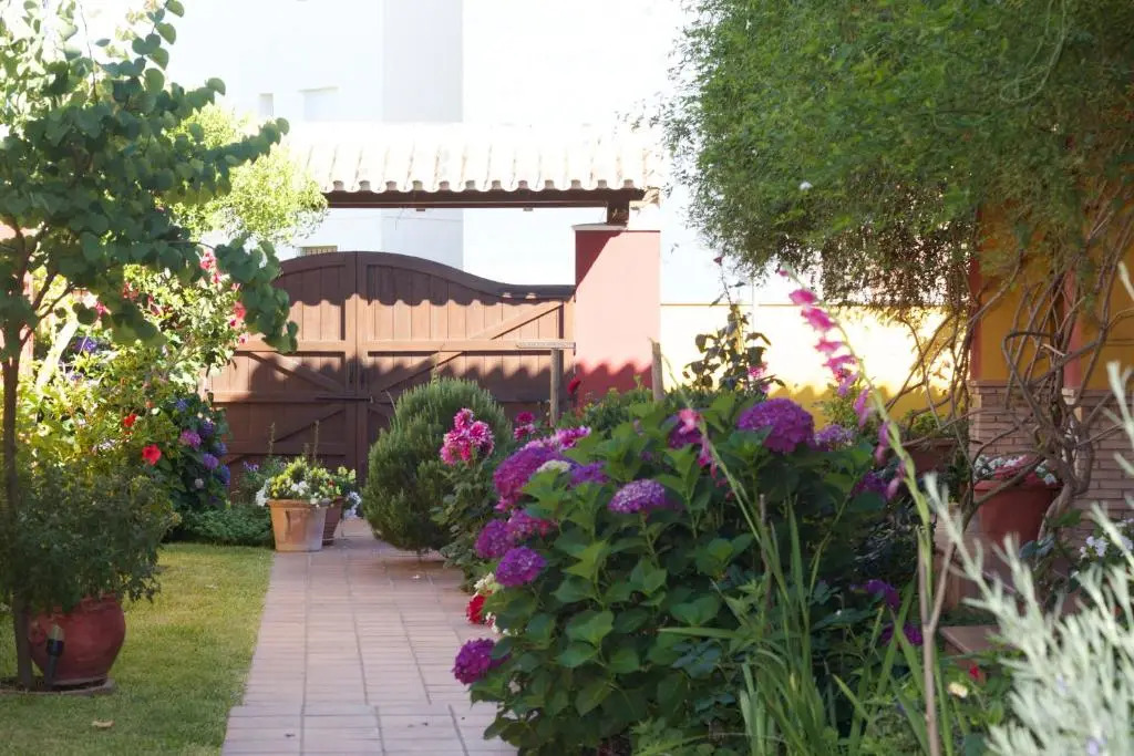 Hotel Doñana Blues