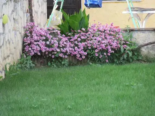 Bellos Apartments