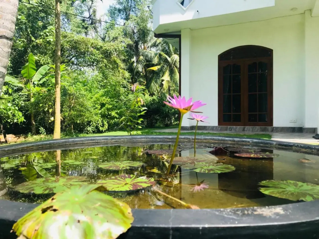 Villa Sureka
