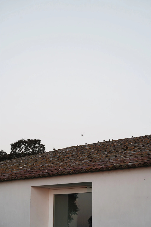 Casa no Tempo