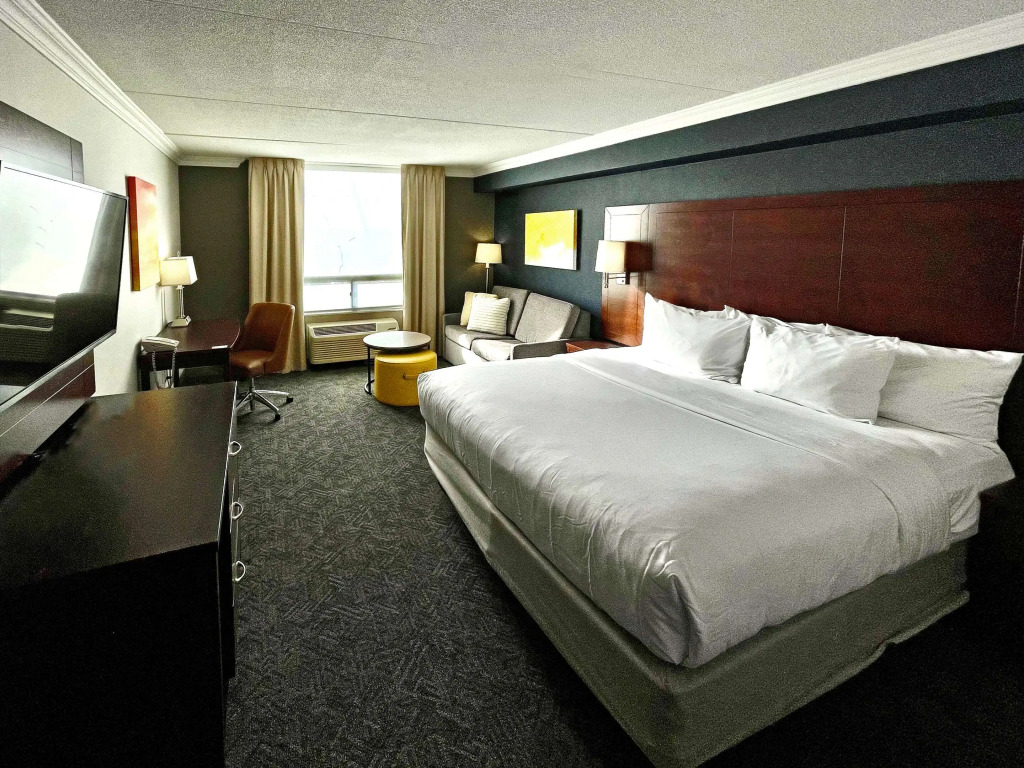 Comfort Inn & Conference Centre Toronto Airport