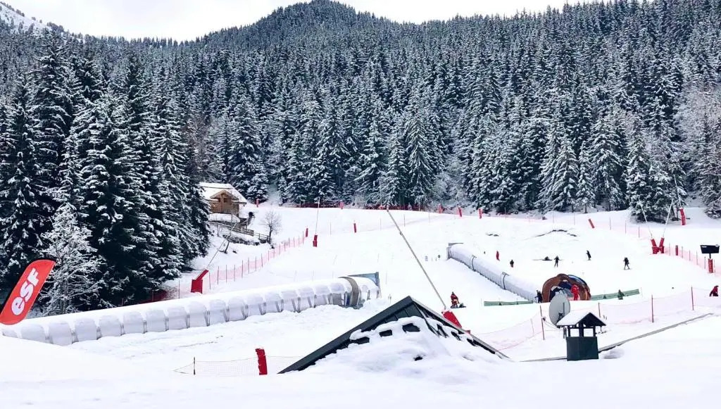 Folyere 17 la Tania