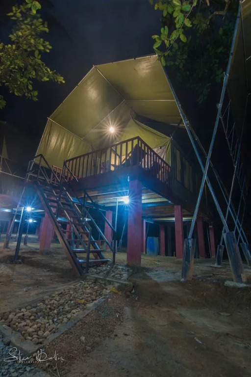 Sinharaja Rainforest Vibe