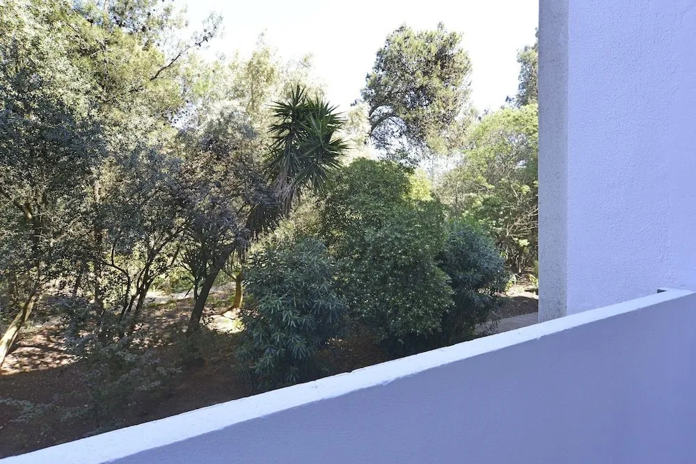 Tropical View Apartment