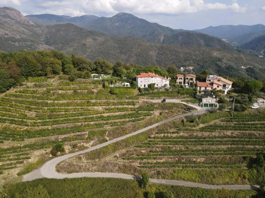 Casale In Vigna, CinqueTerreCoast