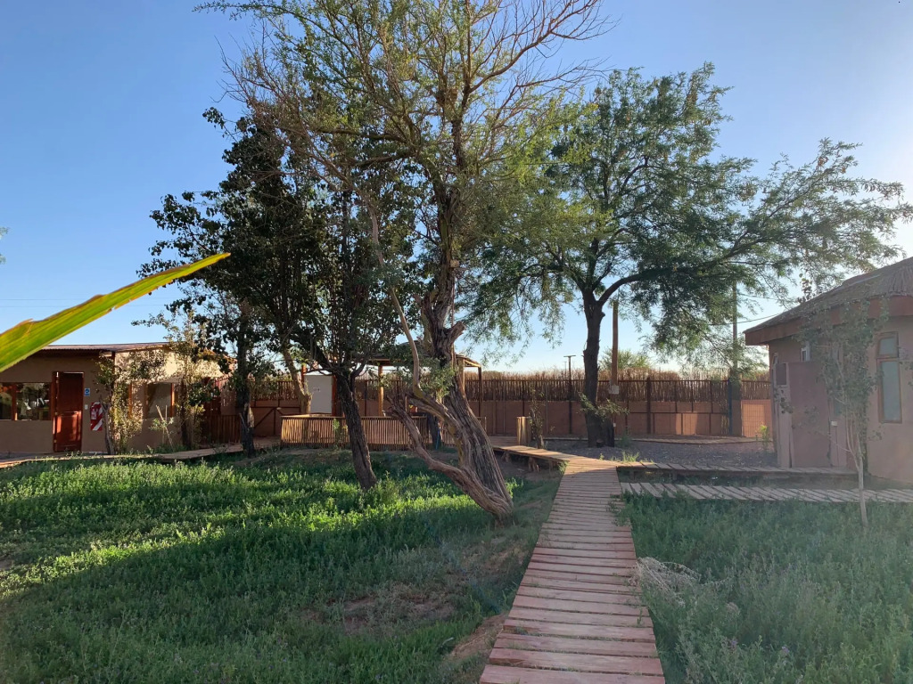 Sami Atacama