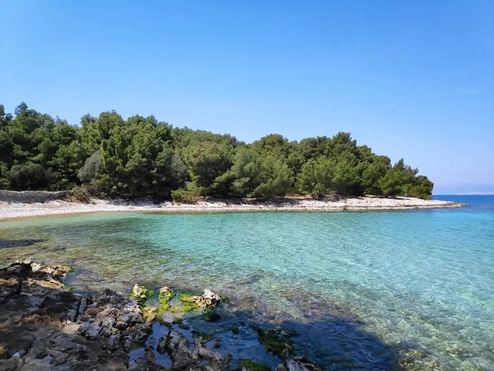 Leana - Great Location and Close to Beach - A1