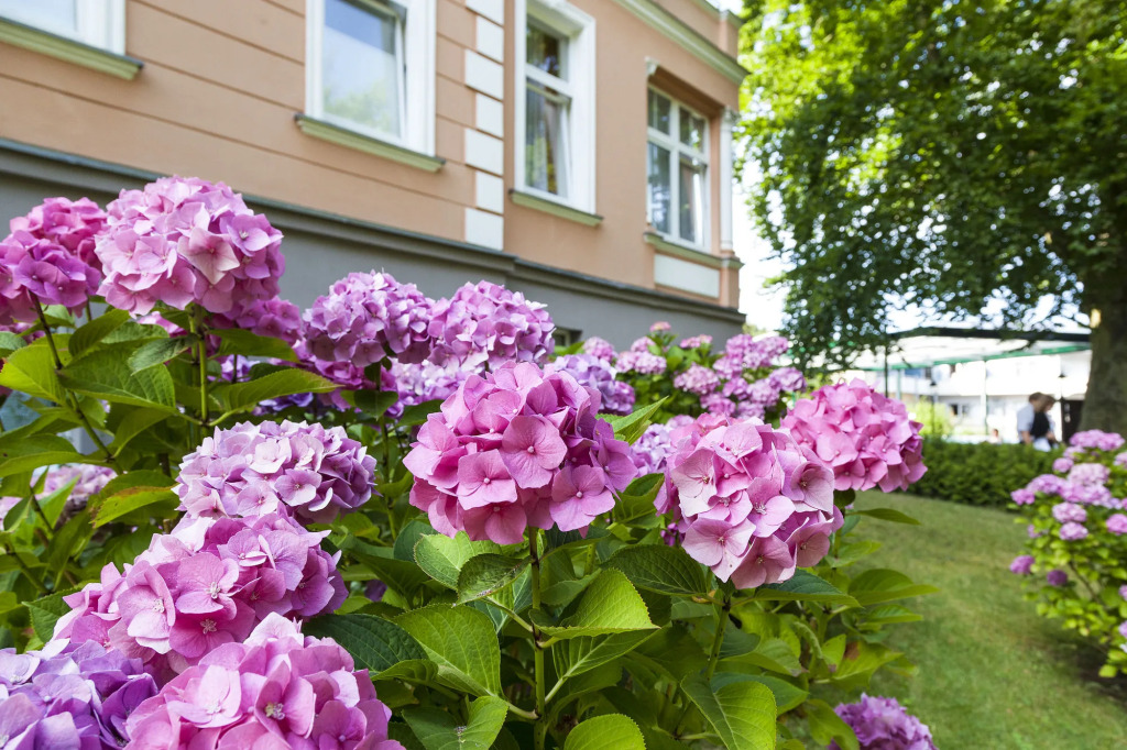 Ostseehotel Villen im Park - ein Rovell Hotel