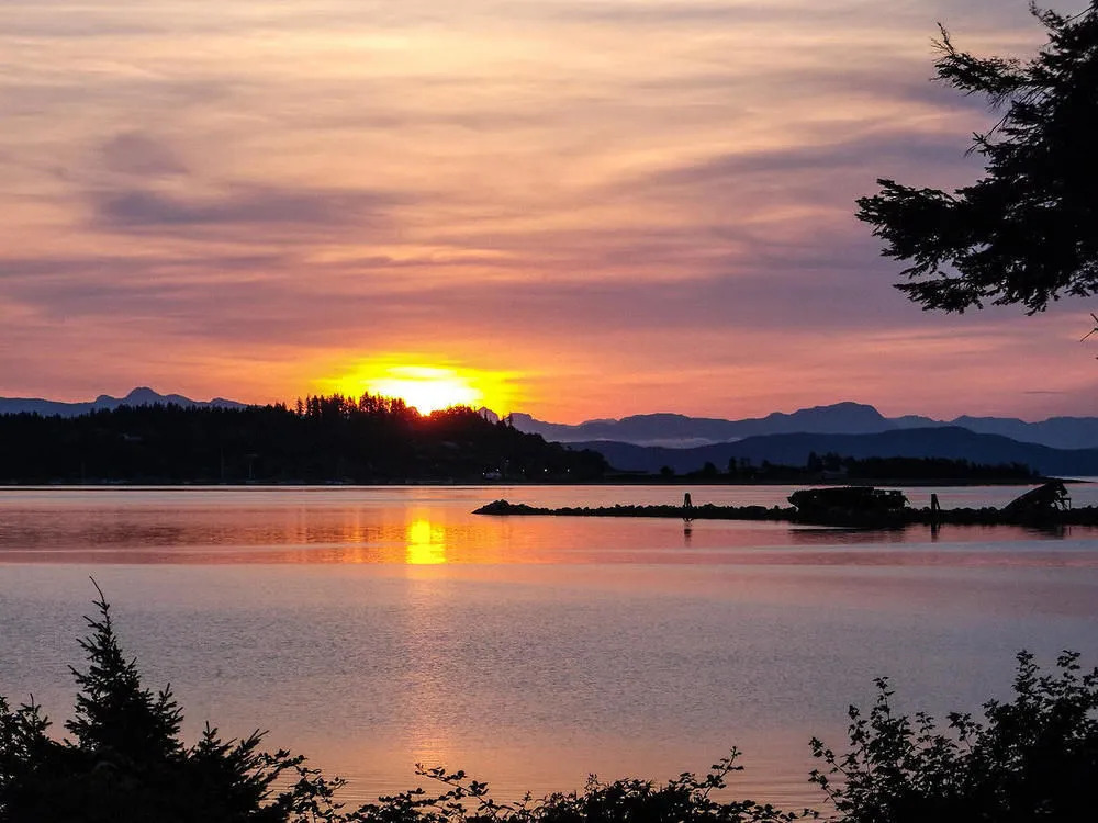 Queenfisher