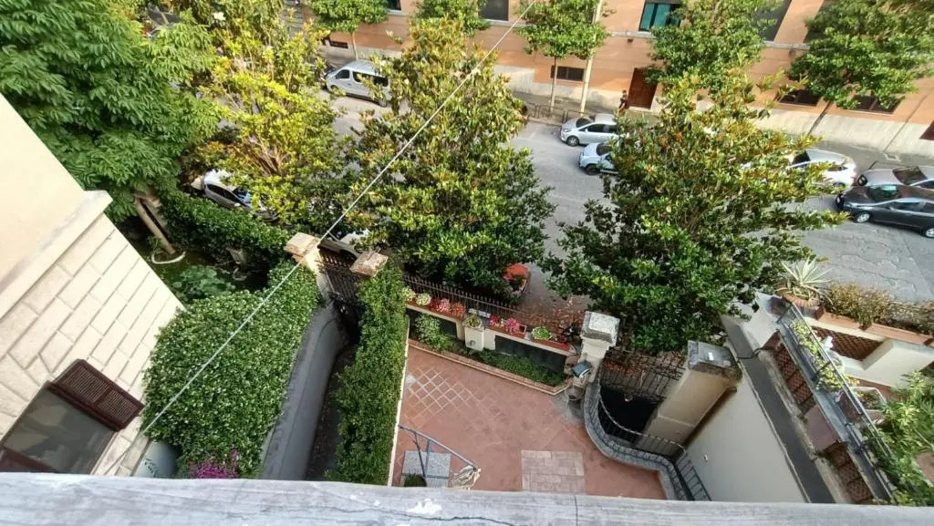 Colosseo Kokedama rooms