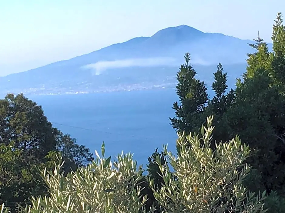 Villa Annabelle