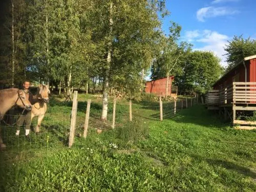 Lugnåsberget Ekohotell
