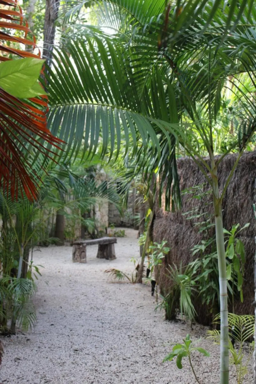 Kuun Taak Tulum