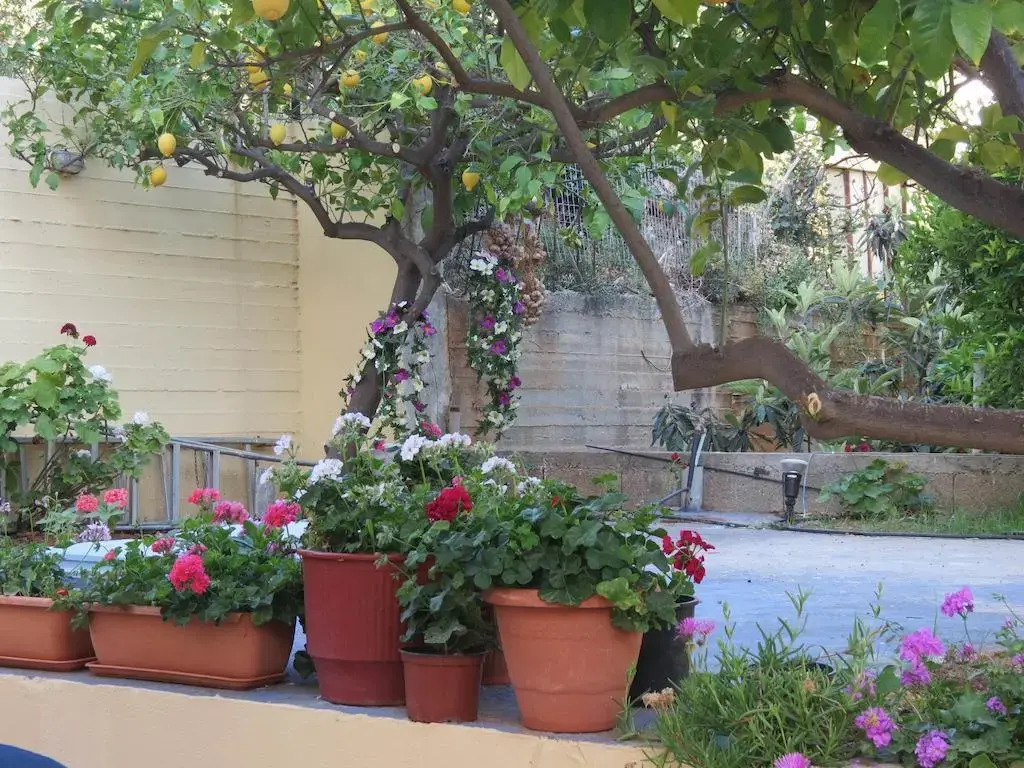 La Luna Apartments