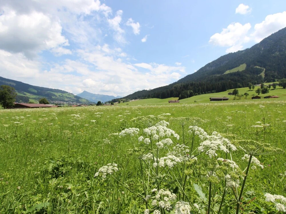 Apartment In Brixen Im Thale With Balcony And Garden