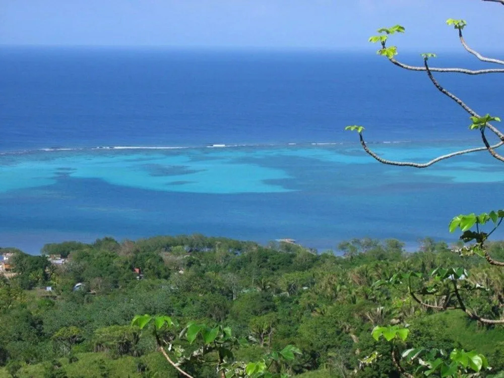 Roatan Bed & Breakfast Apartments