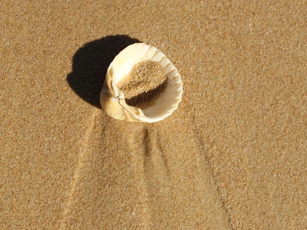 Octant Praia Verde