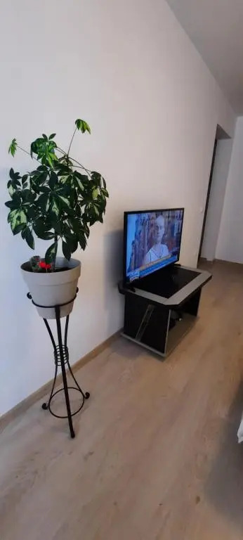 Farmec Studio