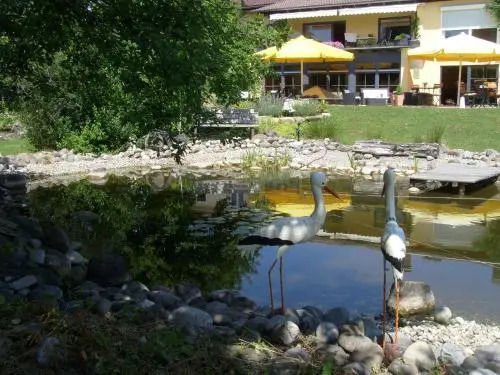 Hotel Birkenmoor