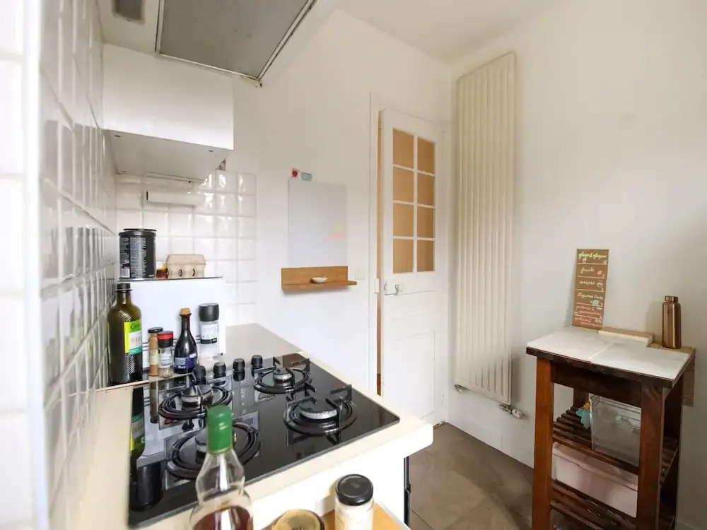 Magnificent Apartment Near the Center of Paris