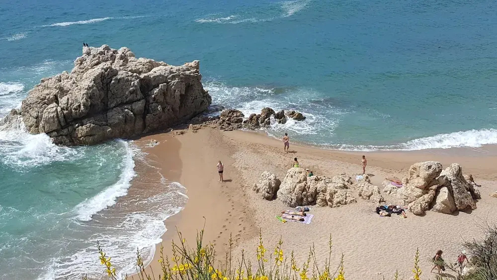 Mediterraneo Marbella