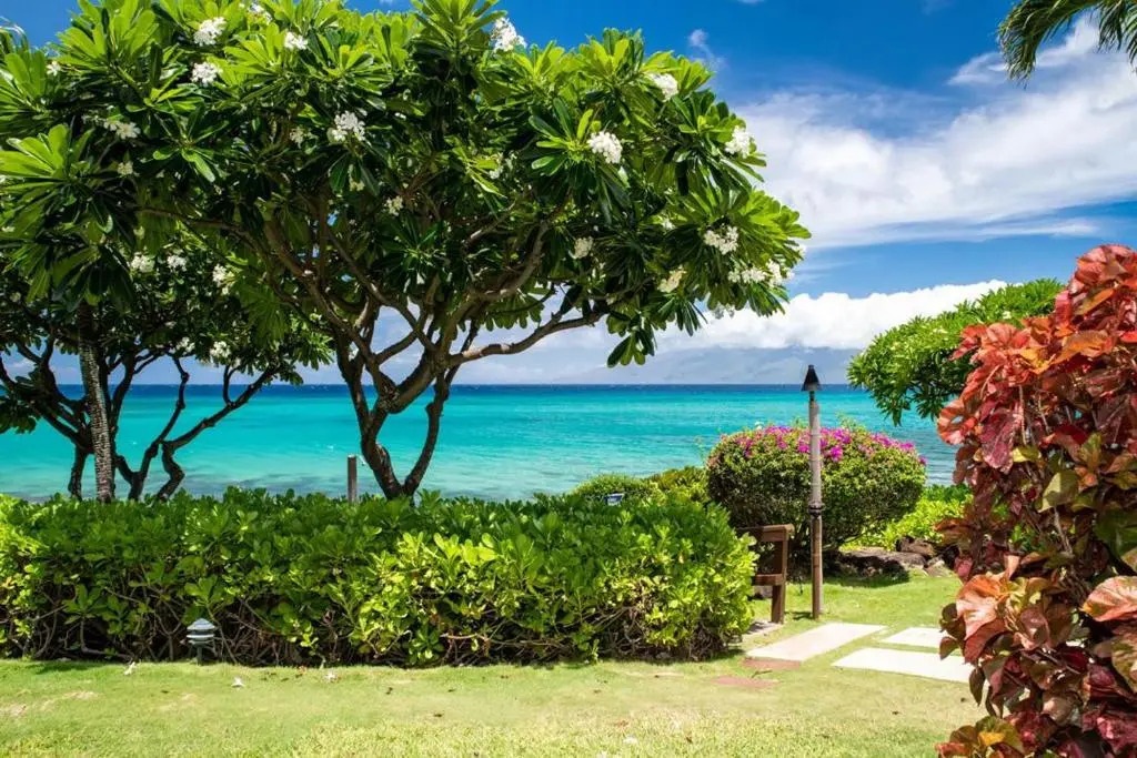 Kuleana Resort 401