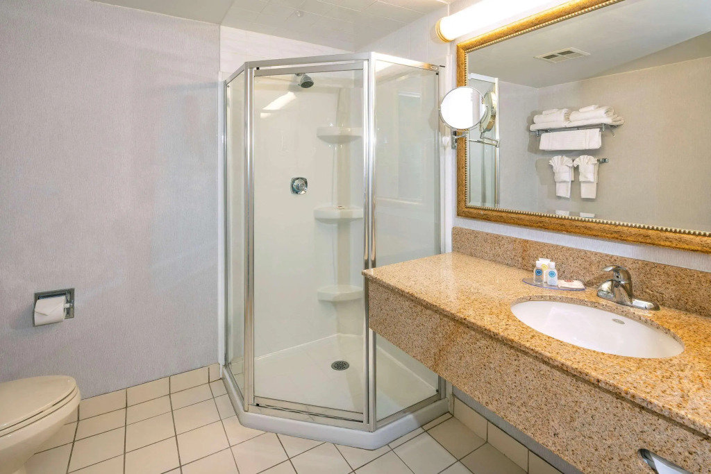 Comfort Hotel & Suites