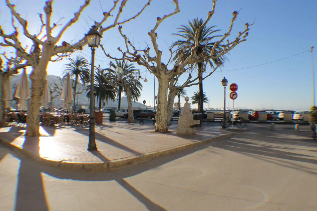 Agi Sant Antoni