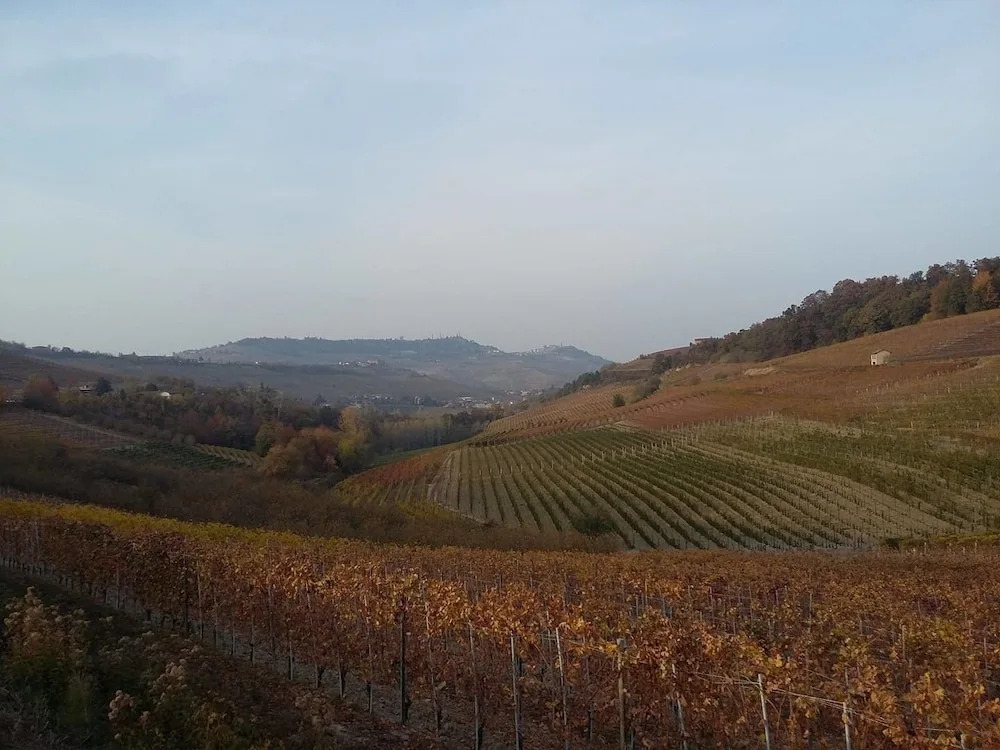 Tenuta Larenzania