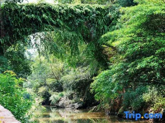Xingyi Wanfenglin Wuq Homestay