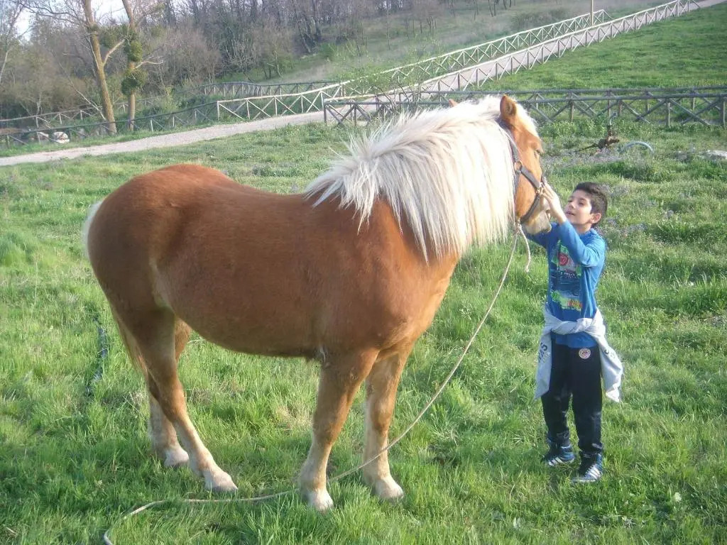 Aia di Lazzaro Agriturismo