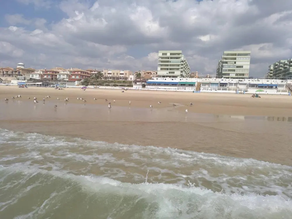 Apartment With 3 Bedrooms in Matalascañas  Almonte, With Wonderful sea View, Shared Pool and Furnished Terrace Near the Beach