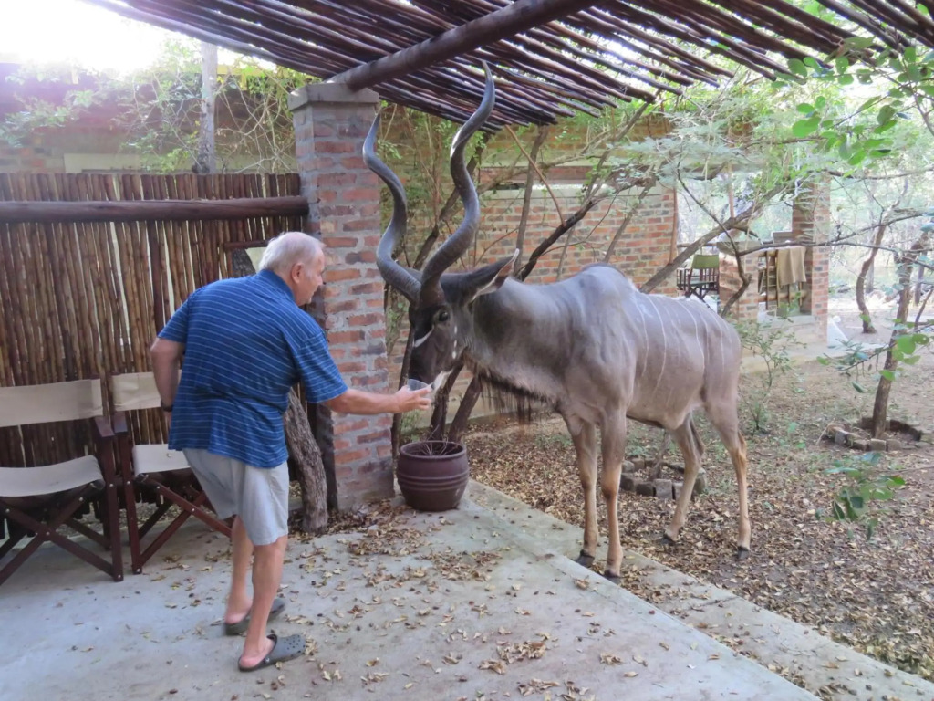Kruger KayaLakho