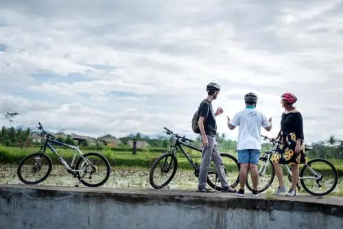 The Desa Ubud