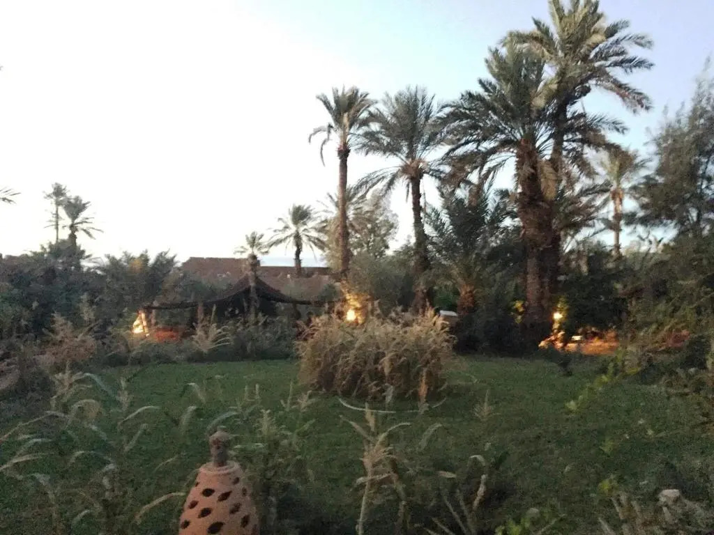 Jnane-Dar Diafa
