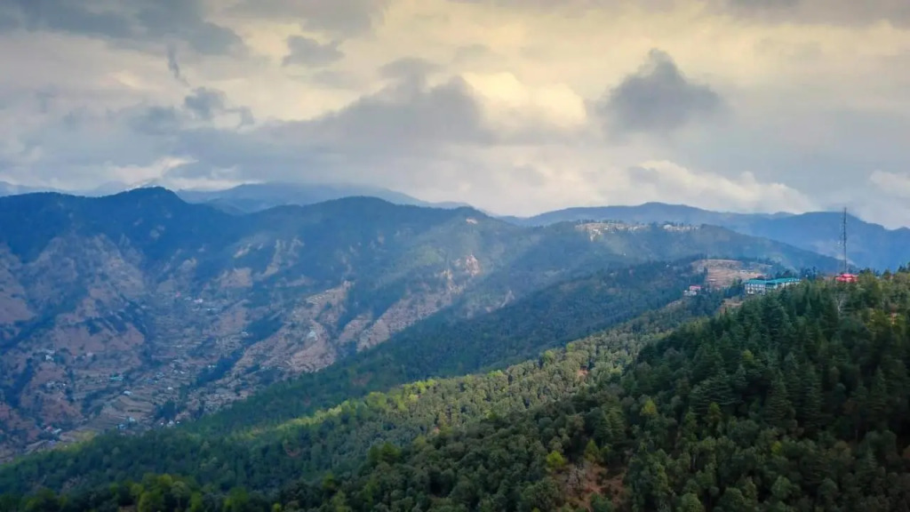TreeHouse Chail Villas