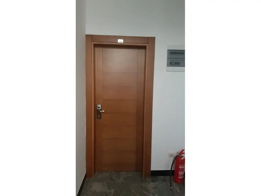 Hotel Paun