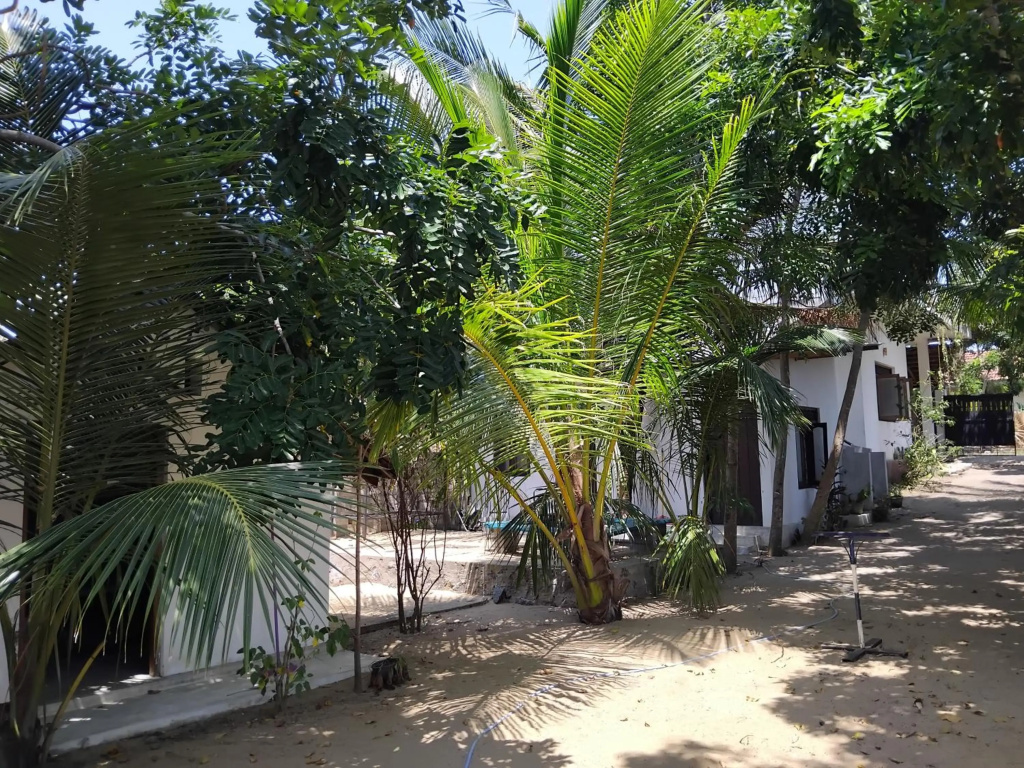 20 House Villa
