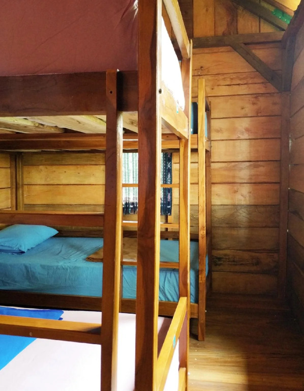 One Tree Hill - Hostel