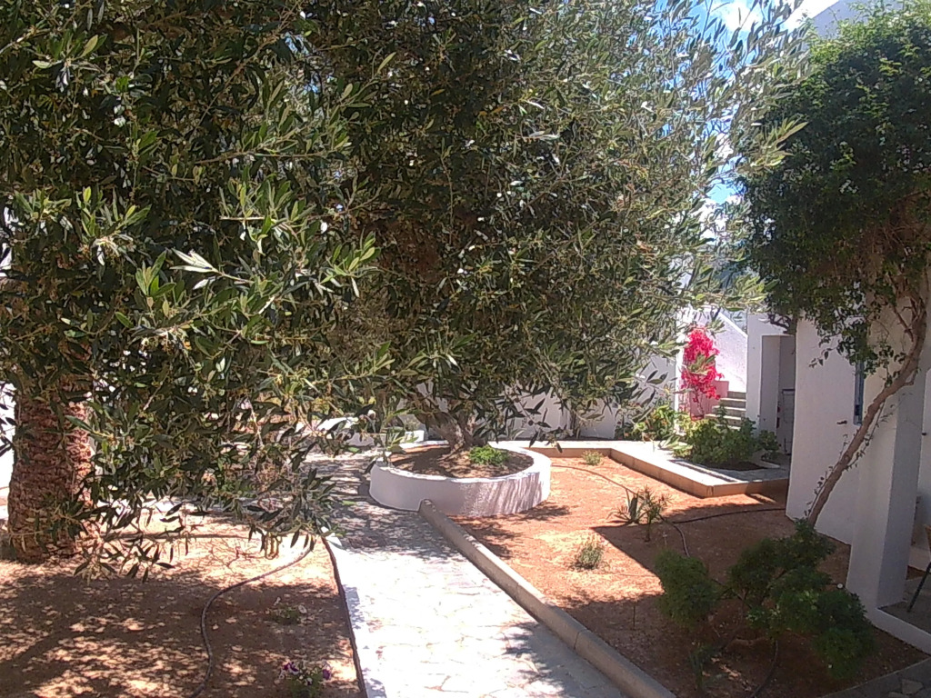 Palatia Village Hotel Apartments