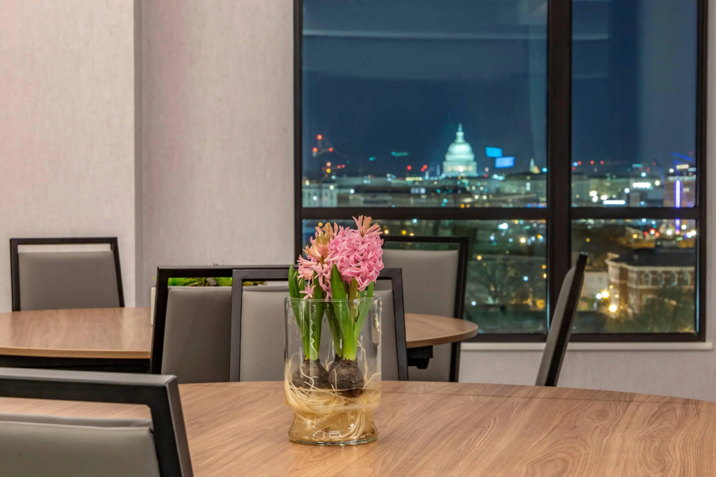 Cambria Hotel Washington DC Navy Yard Riverfront