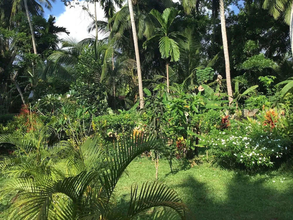 King Coconut Lodge