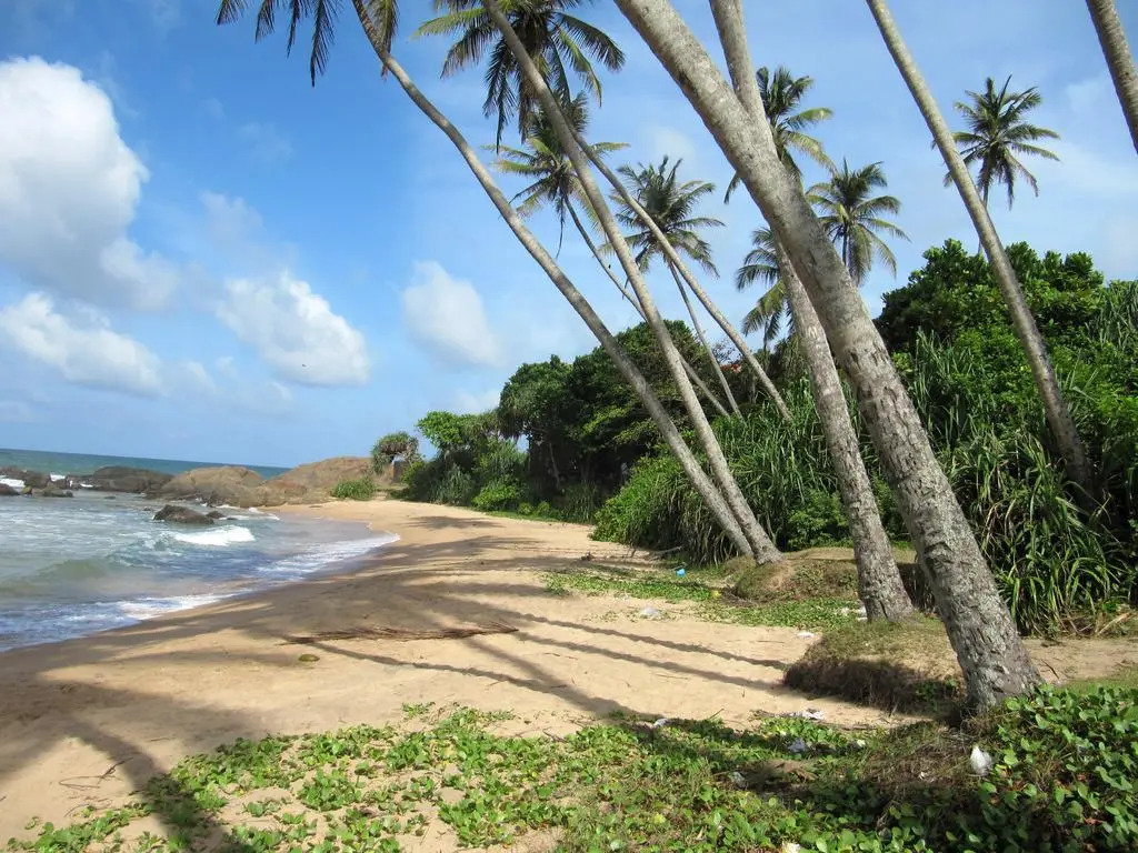Boutique Villa Shanthi
