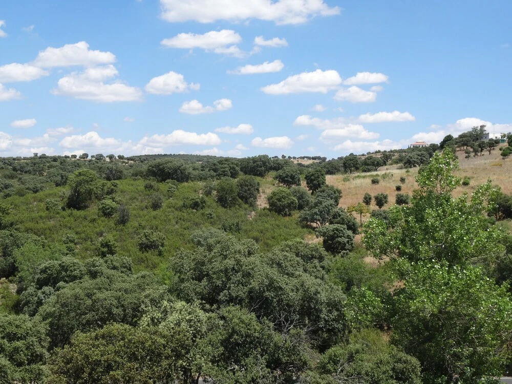 Barcoiris Guesthouse 