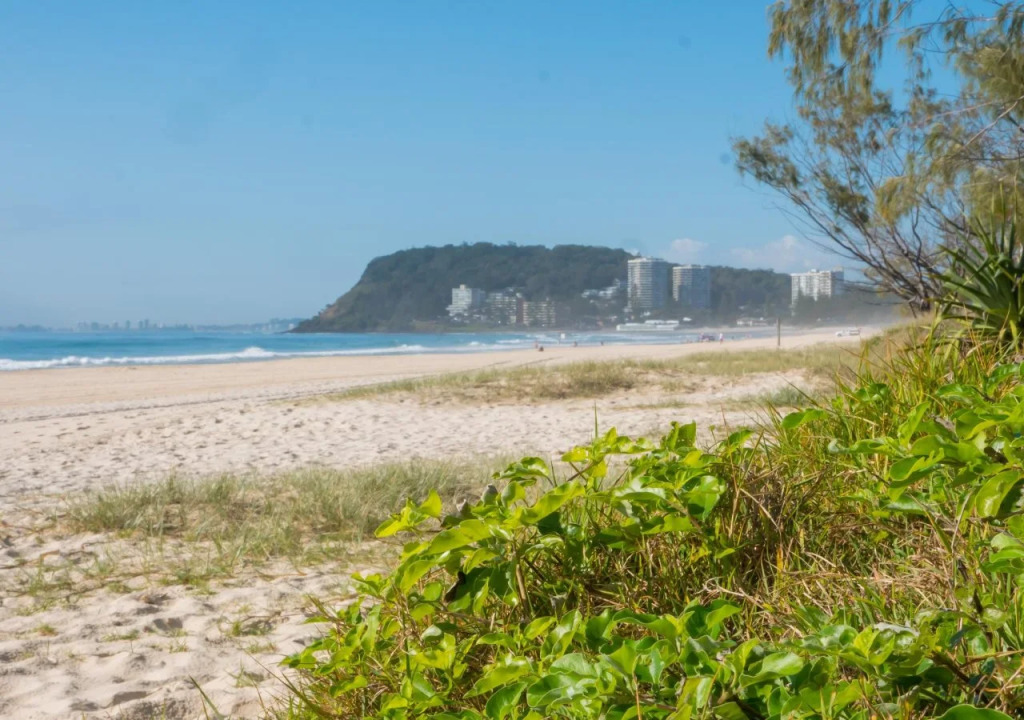 Burleigh Surf Apartments