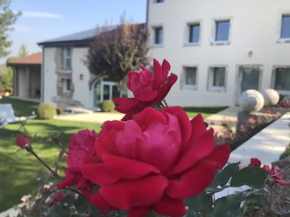 Agriturismo Relais Maddalene101