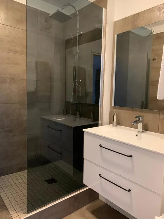 APPARTEMENT COEUR de ROANNE